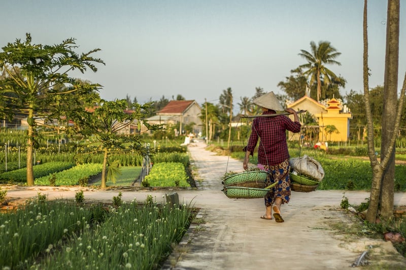 Local Farm-to-Table Menus